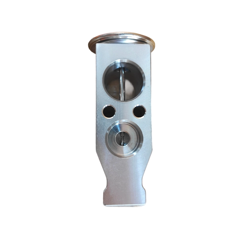8106000A-P00 AC Expansion Valve para sa GWM Wingle Haval H3 H5 H6